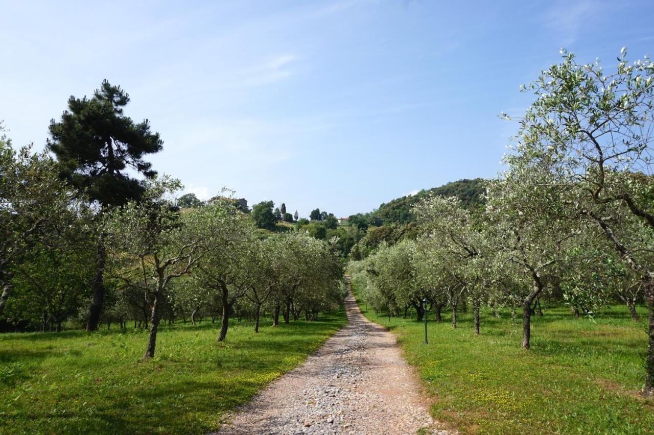 Agriturismo Le Vallilunghe Apartment Lucca Bagian luar foto