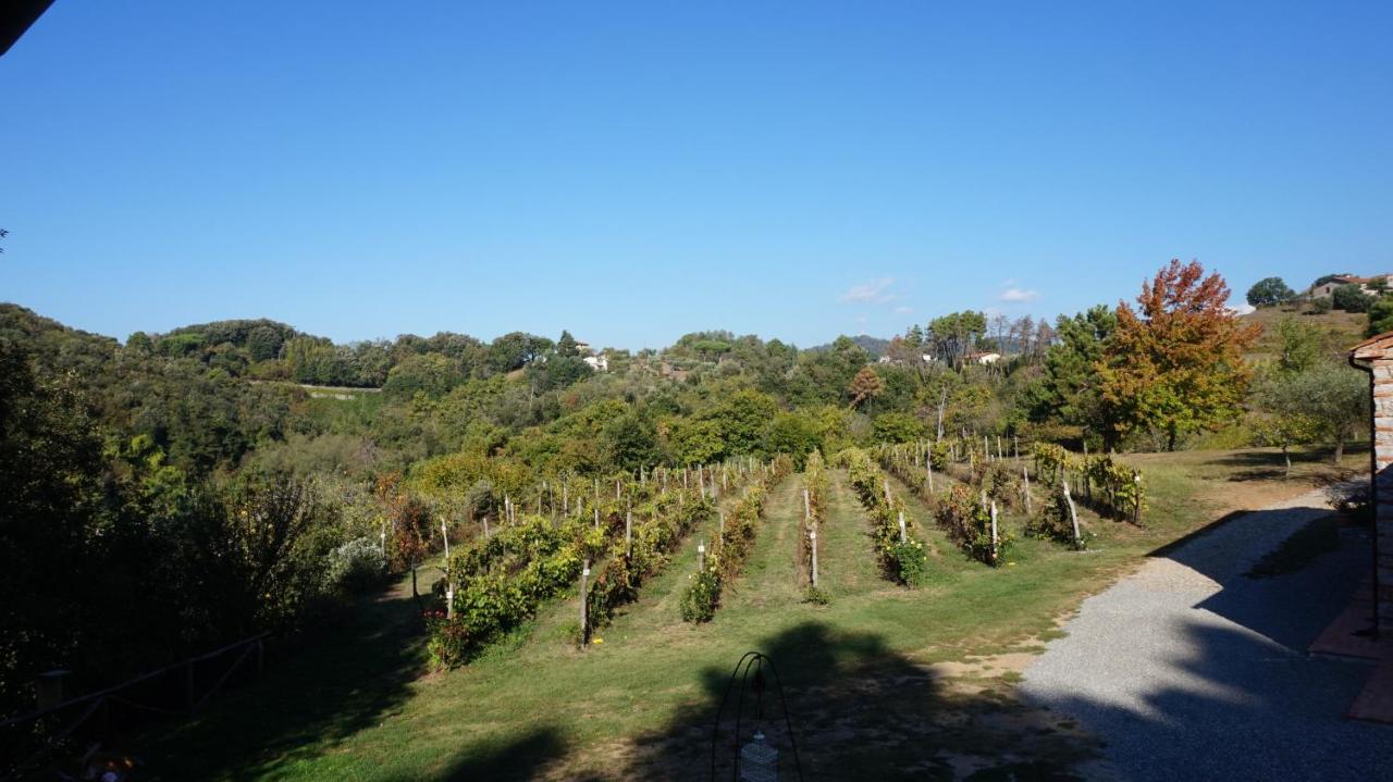 Agriturismo Le Vallilunghe Apartment Lucca Bagian luar foto